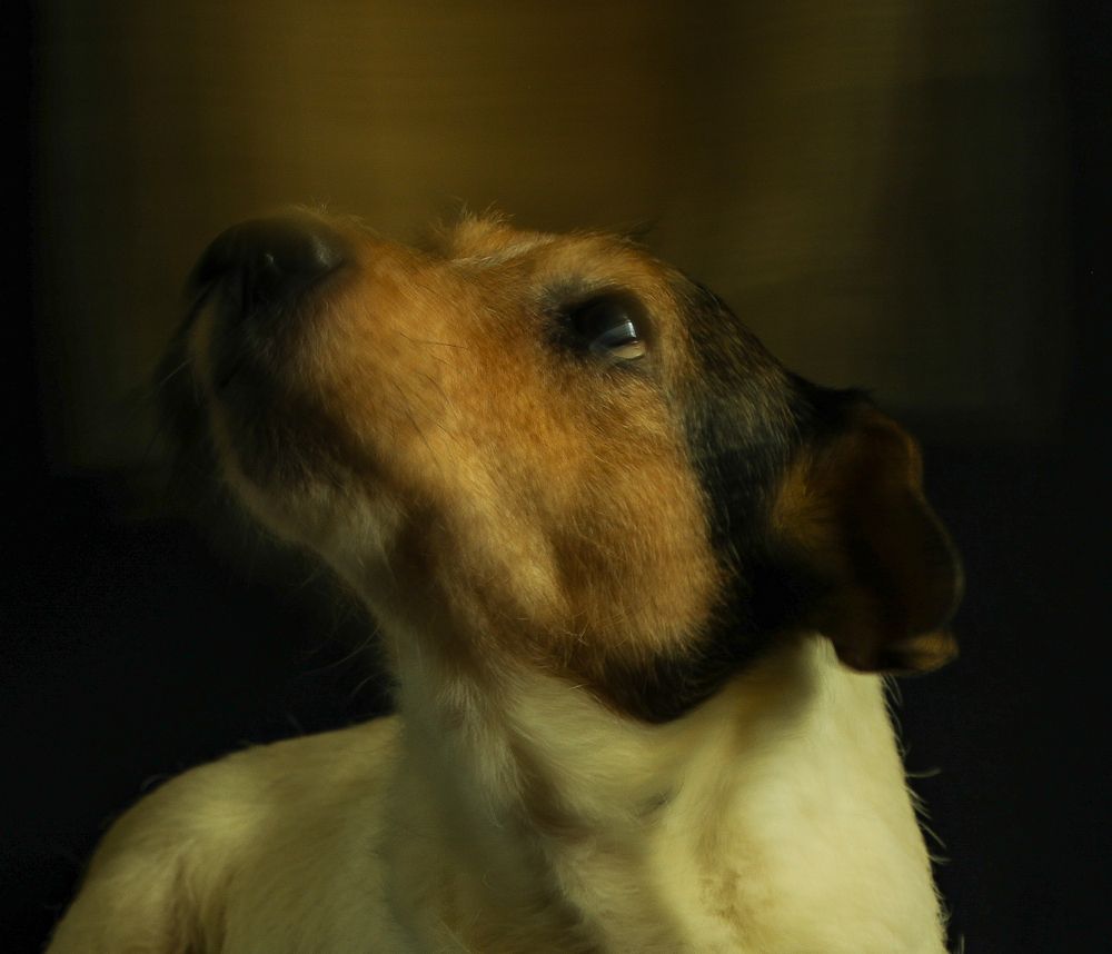 Photograph by Елена Данченко