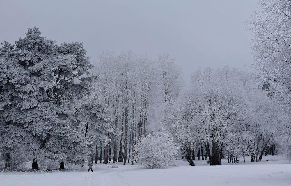 Photograph by Aleksandra Bistrova