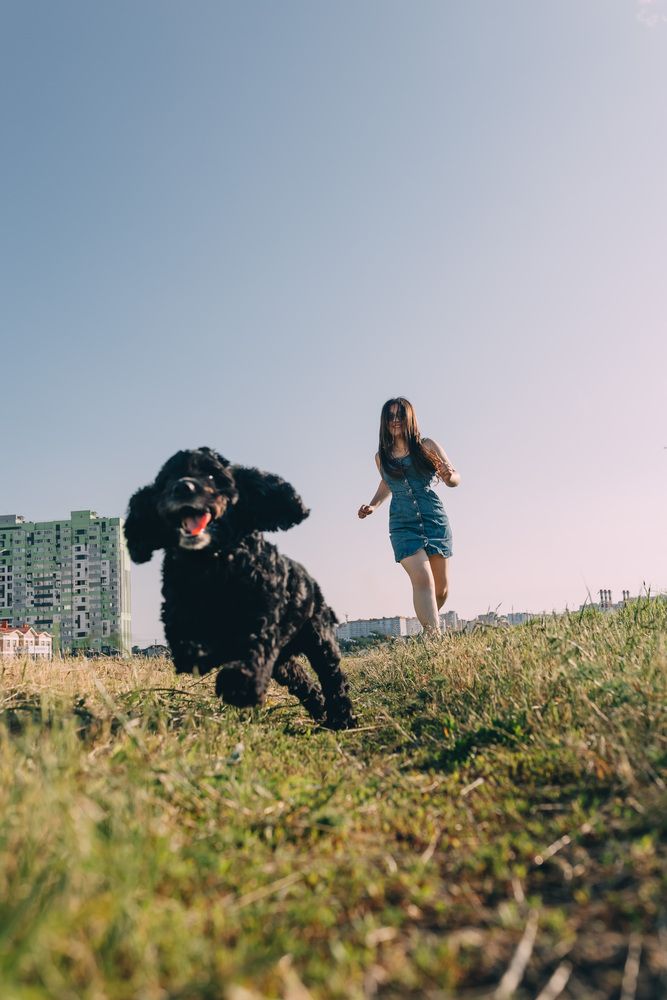 Photograph by Катерина Старова