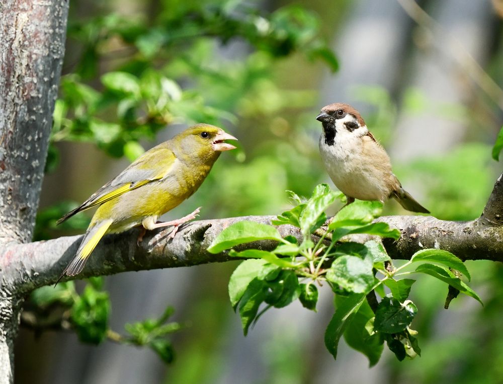 Photograph by Виктория Шажко