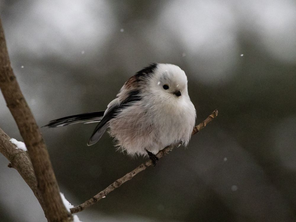 Photograph by Игорь Криулин