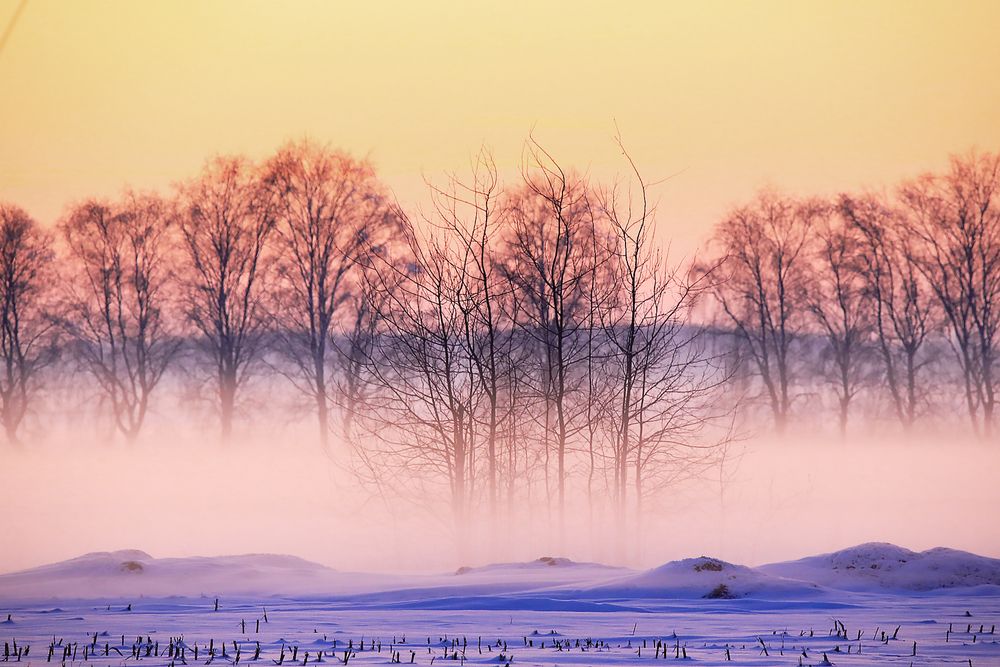 Photograph by Николай Протасеня