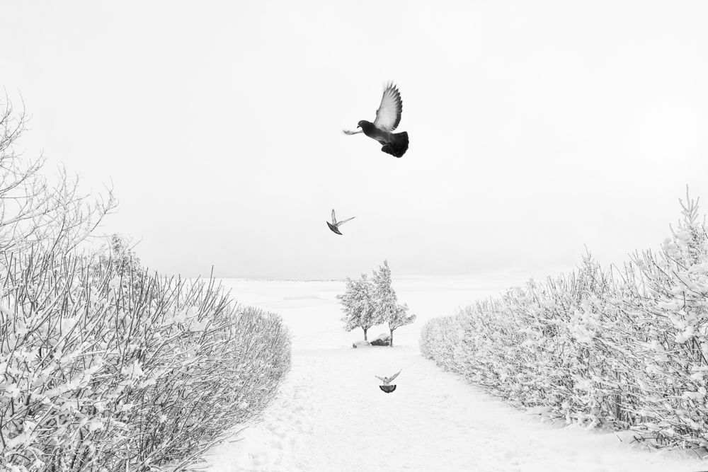 Photograph by Лариса Герасименко