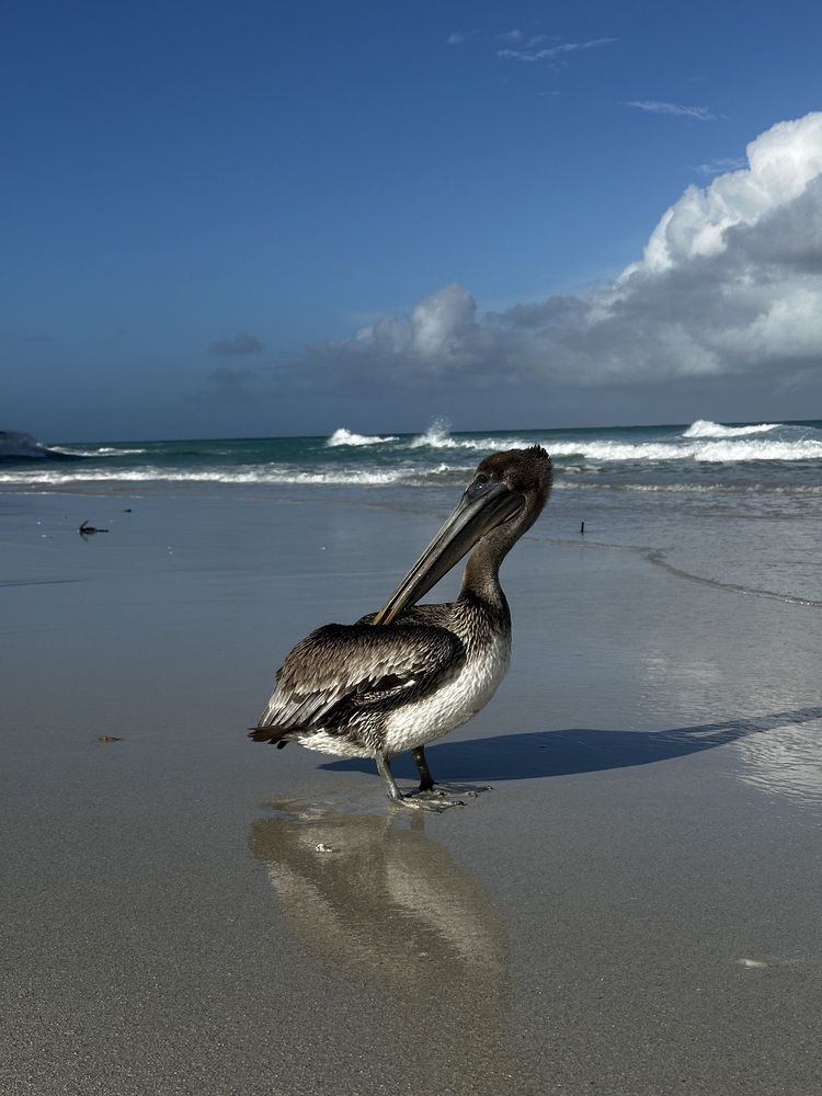 Photograph by Svetlana Rashidova