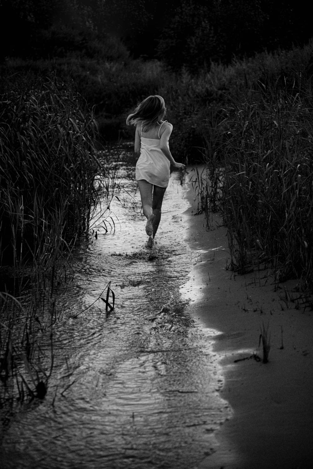 Фотография #13133024