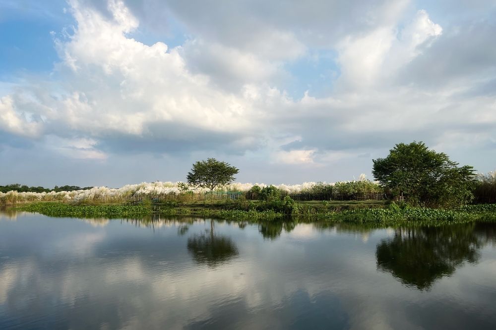 Photograph by Washiful Majid