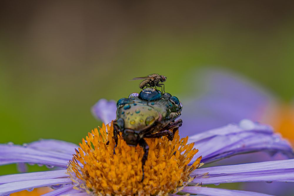 Photograph by Alexander Semenko