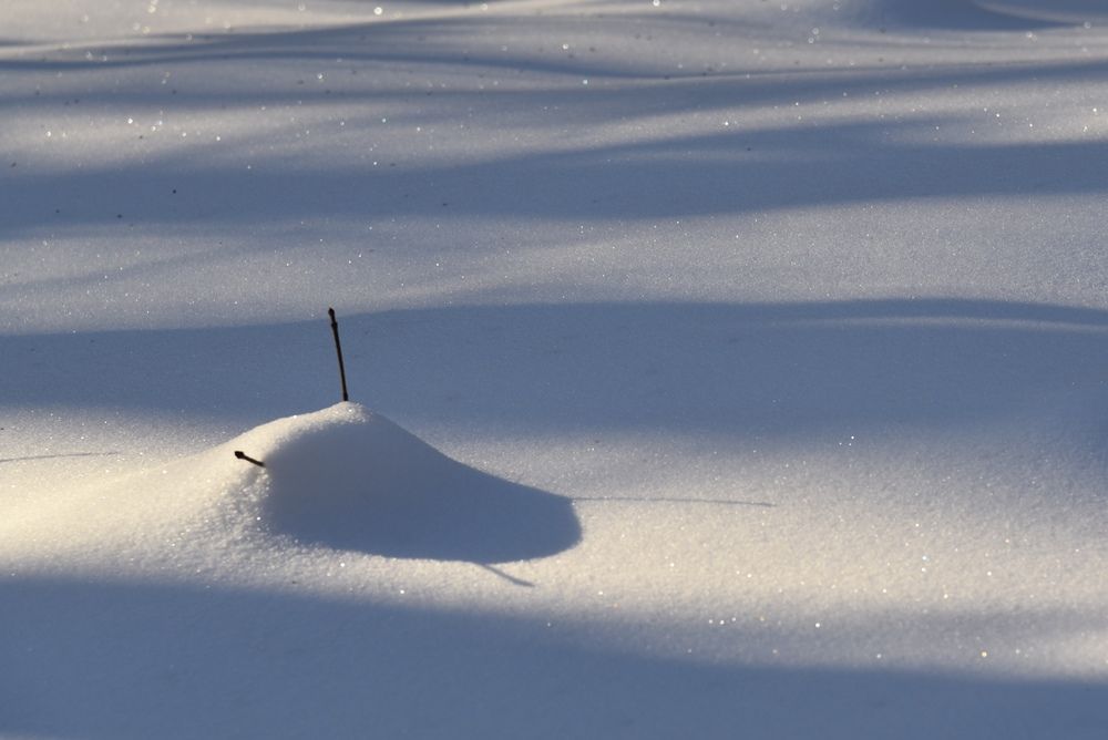 Photograph by Ольга Струкалина