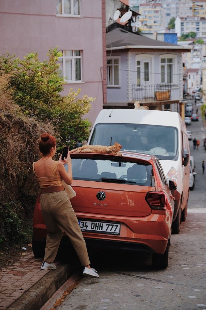 Photograph by Аида Фай