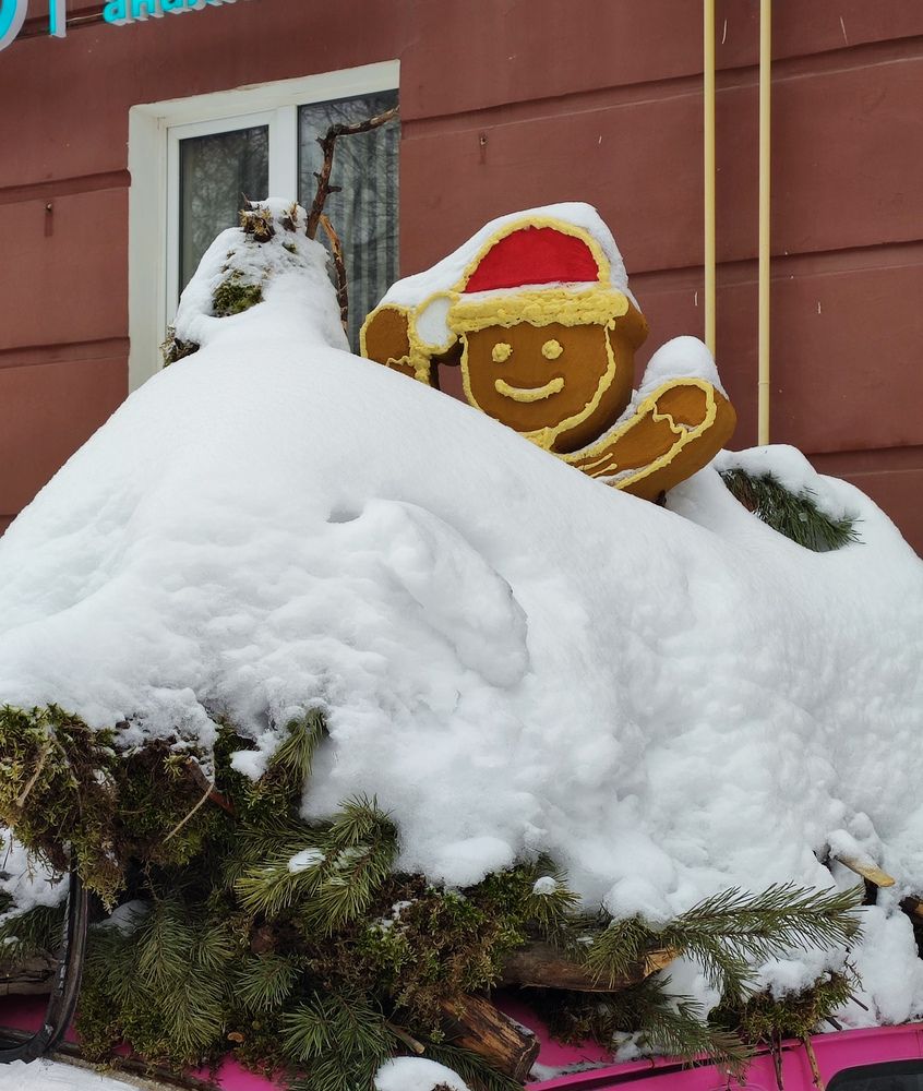 Фотография автора Татьяна Никулина