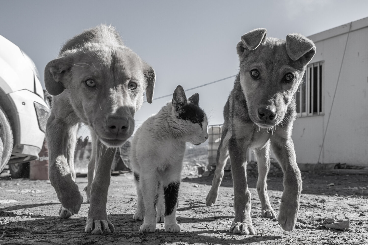 Photo #13133112