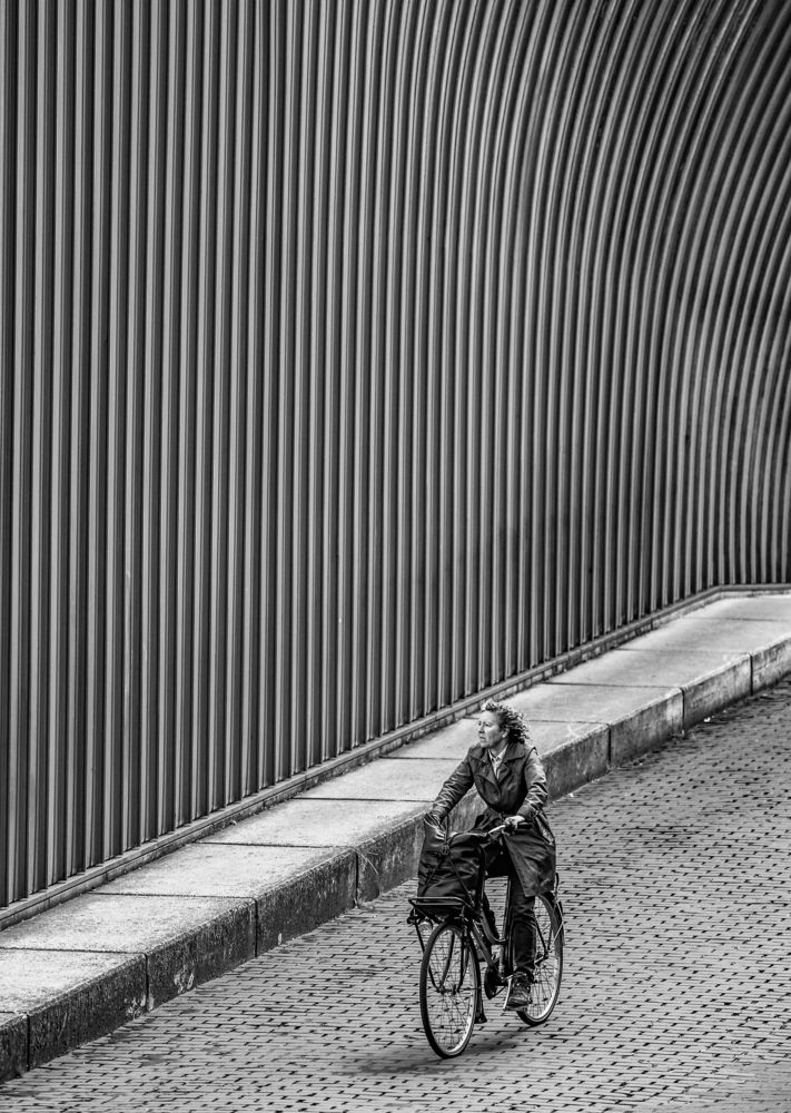 Photograph by Mojtaba Chenari
