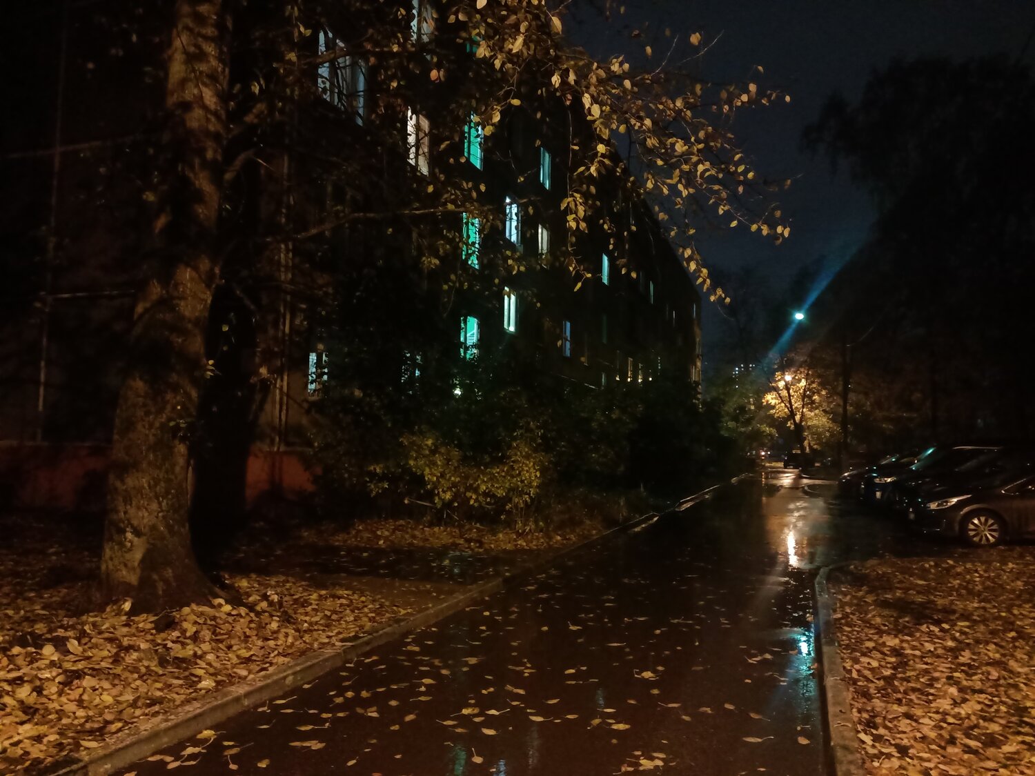Photo #13133119