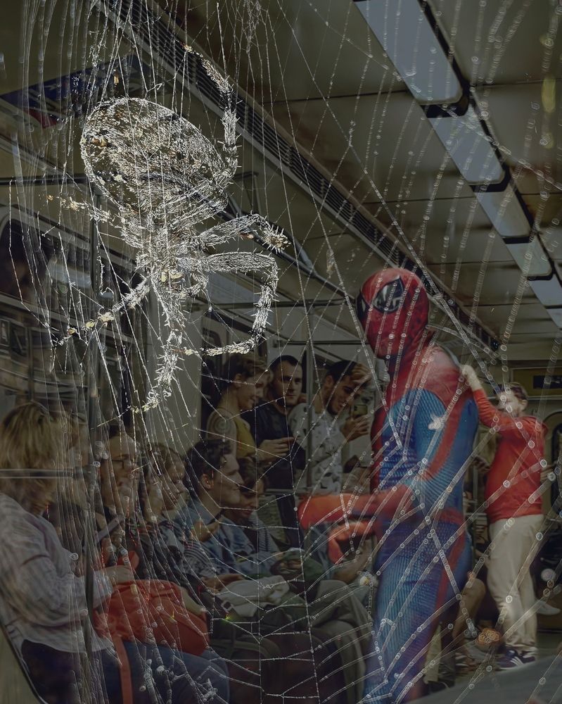 Photograph by Ульяна Кузьмина