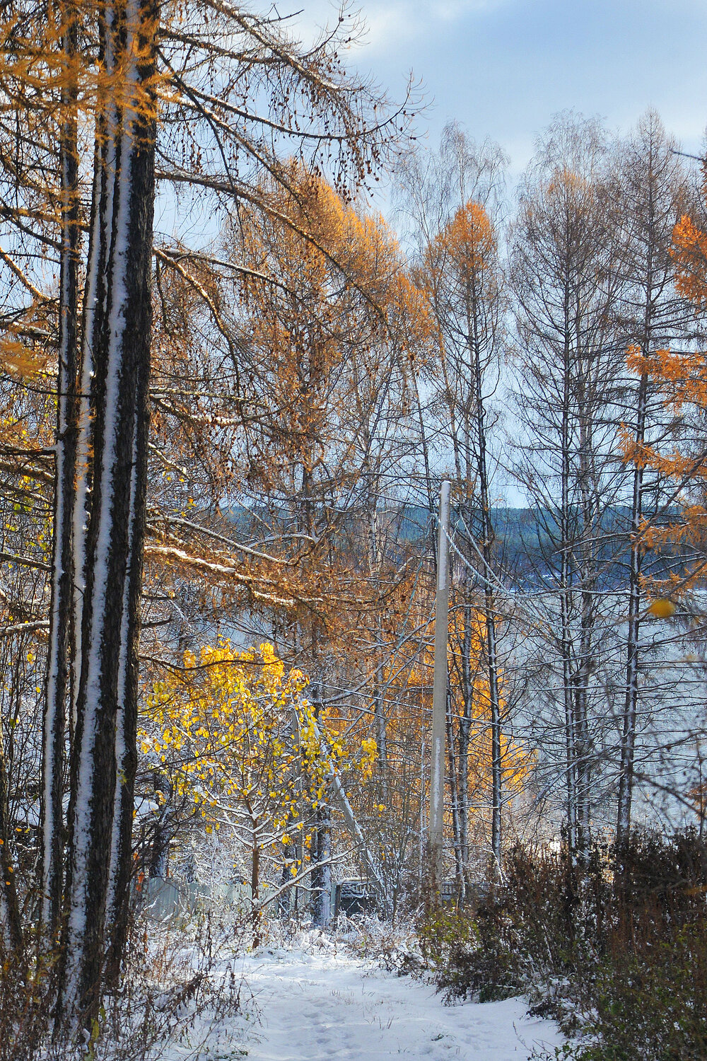 Photo #13133138