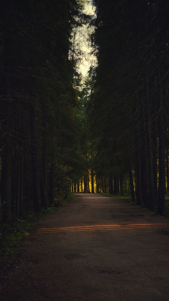 Photograph by Ekaterina Sapezhinskaya