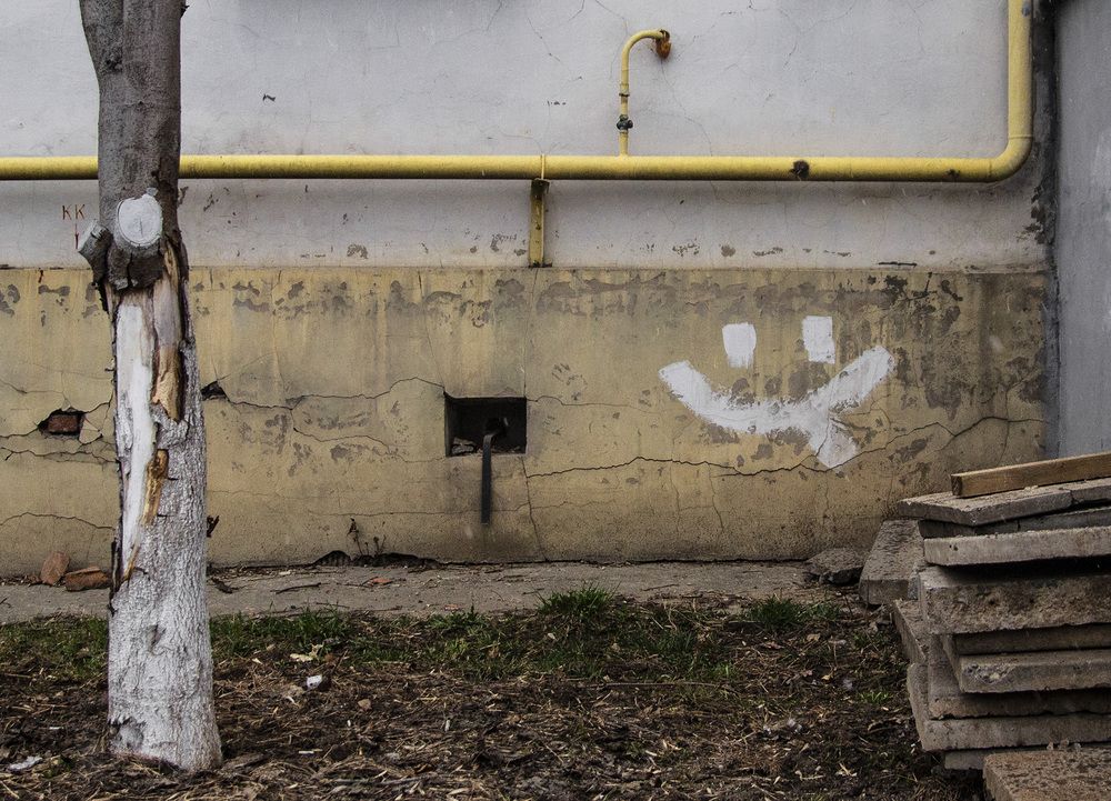 Фотография автора Андрей Рогов