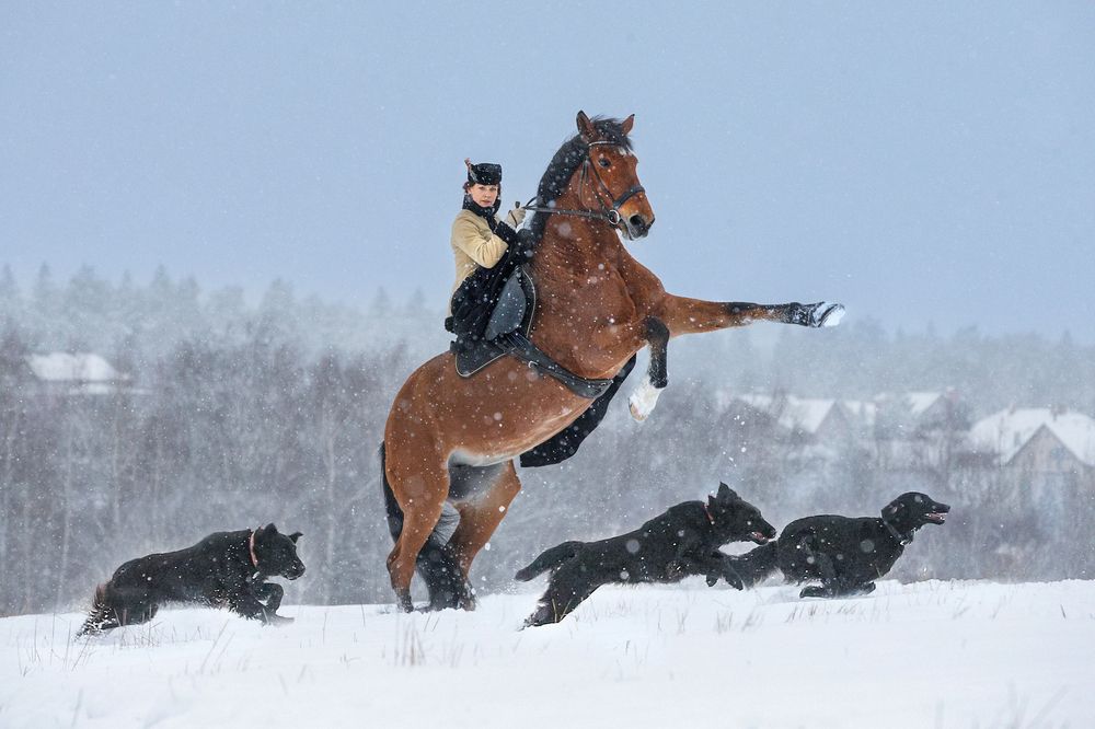 Фотография автора игорь перфильев