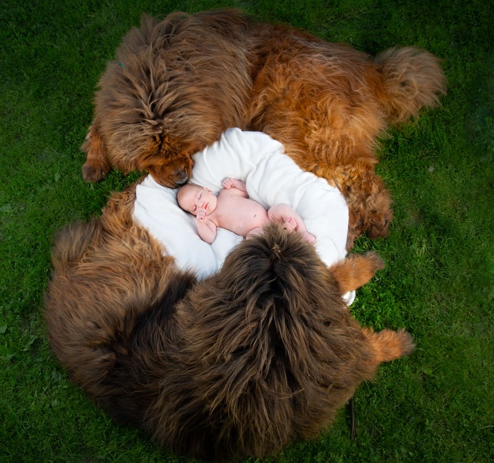 Фотография автора игорь перфильев