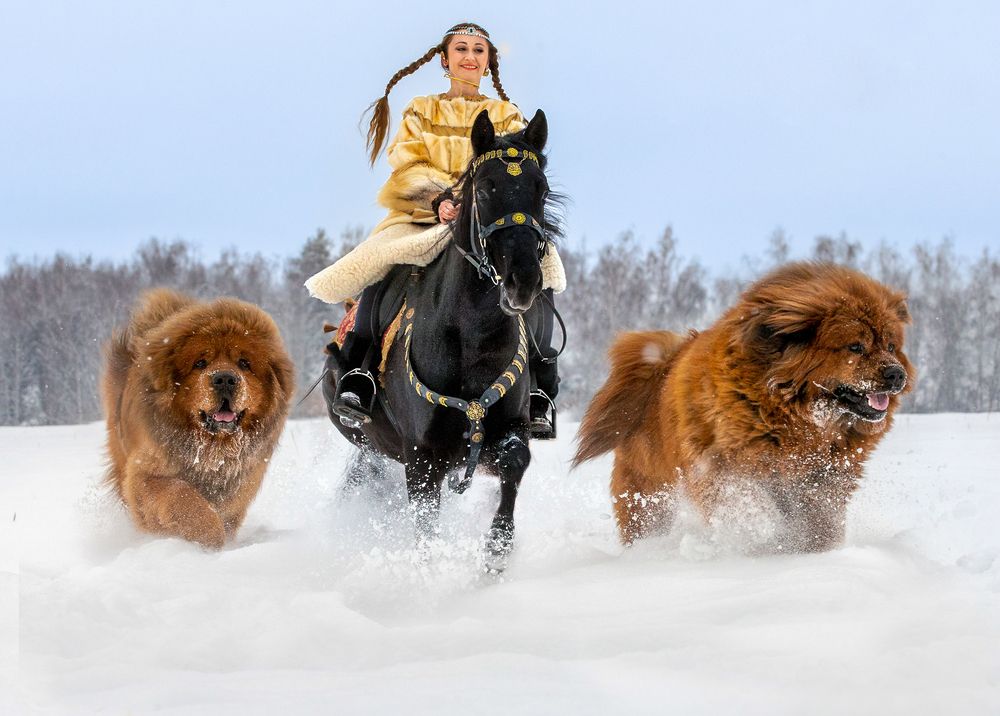 Photograph by игорь перфильев