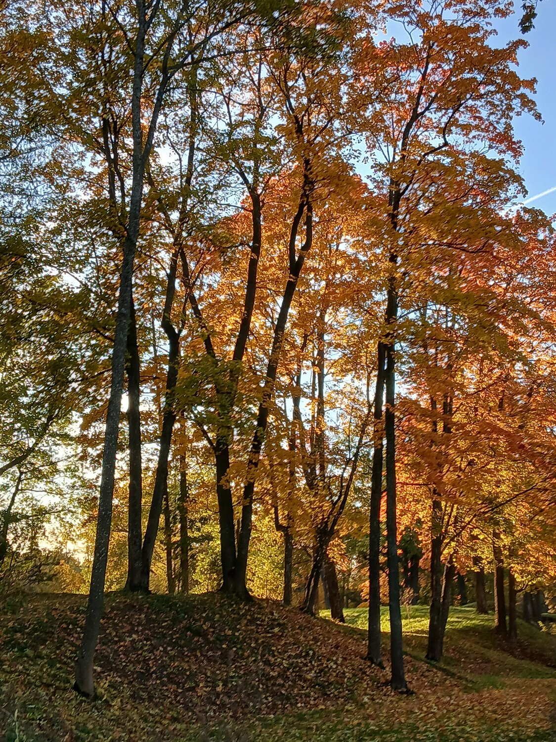 Золотая осень