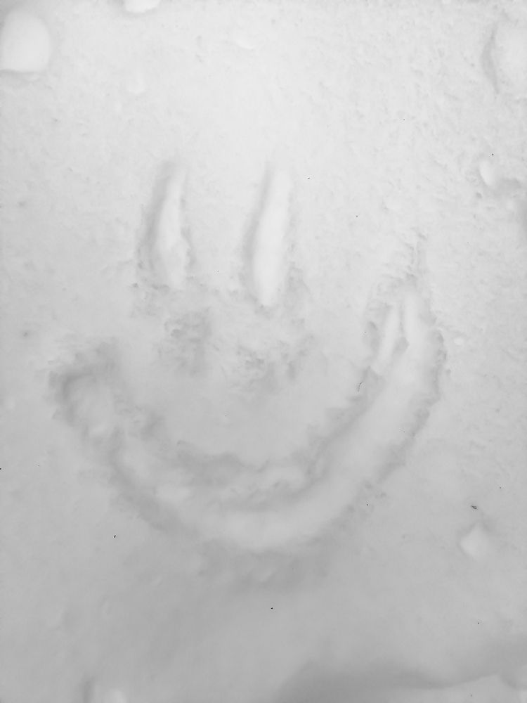 Фотография автора Ксения Мельникова