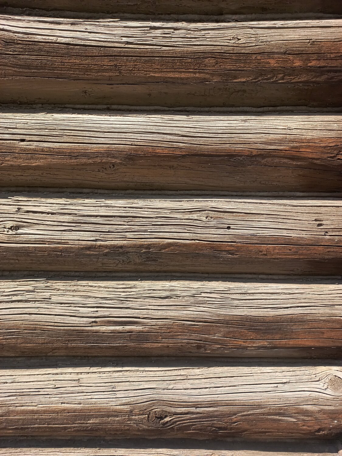 Photo #13133264