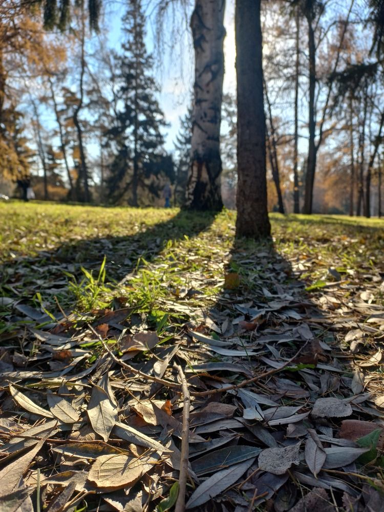 Photograph by Денис Косарев