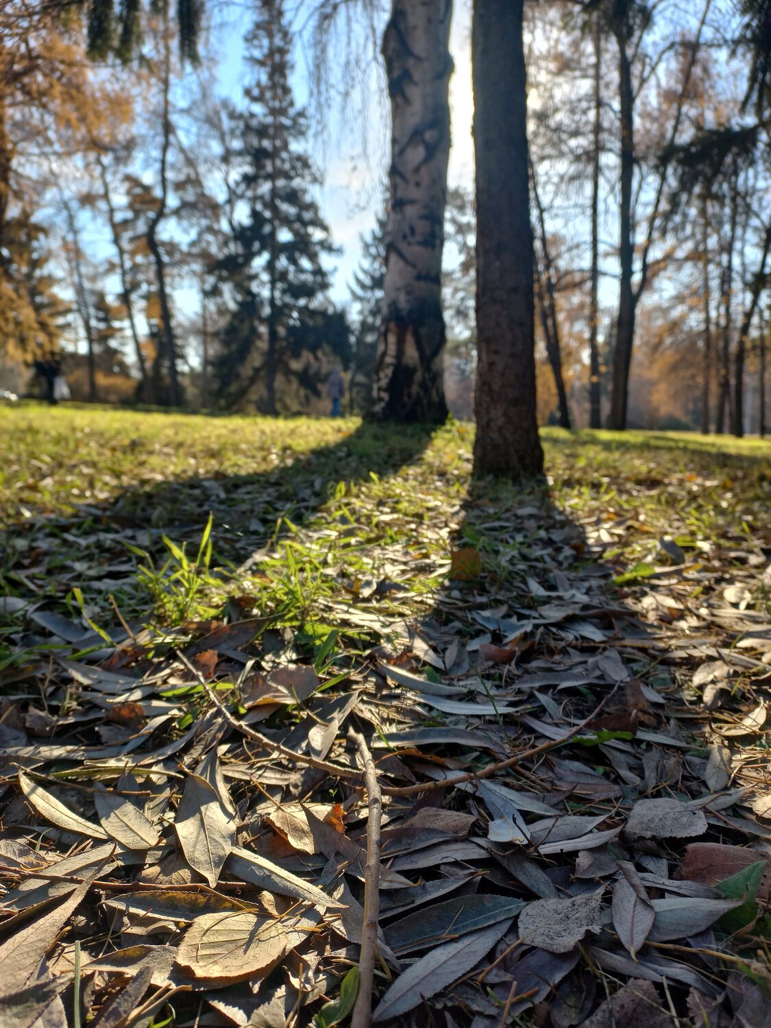Photo #13133267