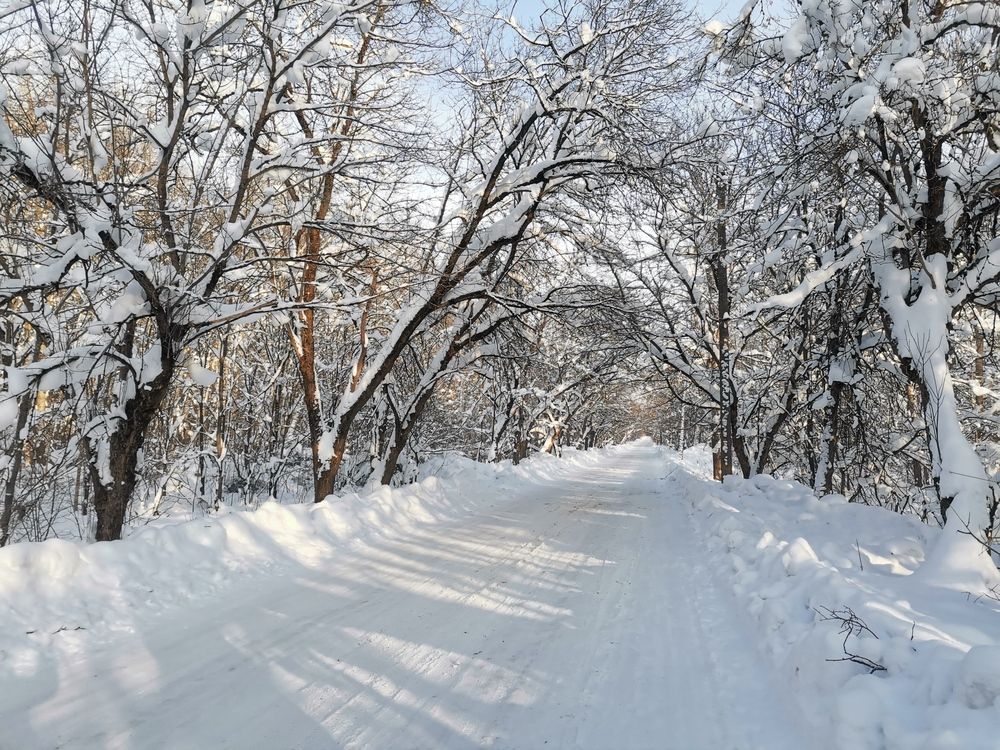 Фотография автора Ольга Давыдова
