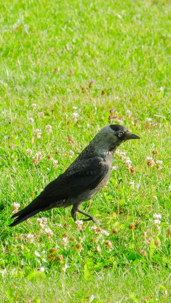 Photograph by Иван Бортяков