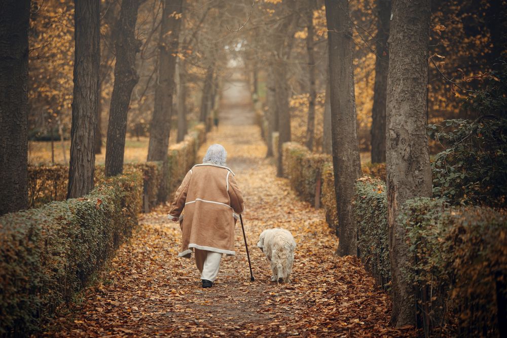 Photograph by Soraya Martín Saugar