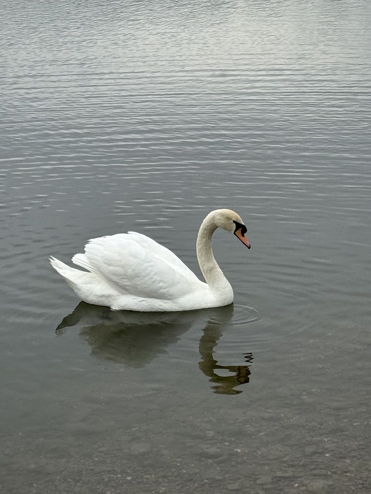 Photograph by Татьяна Семёнова