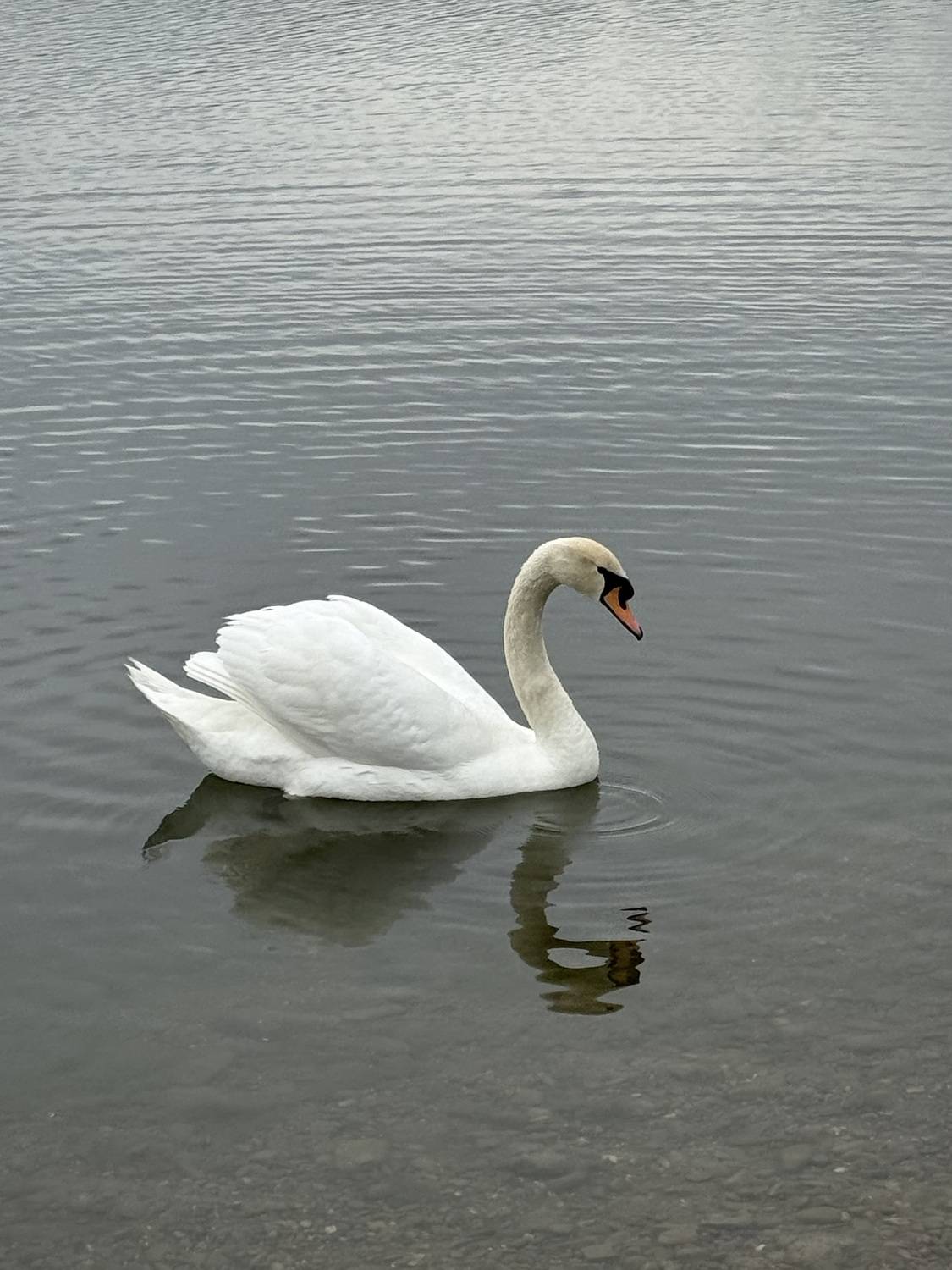 Фотография #13133380