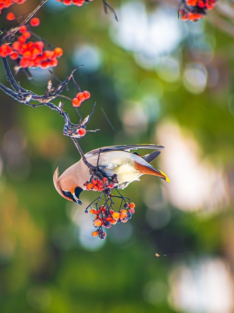 Фотография автора Николай Абакумов
