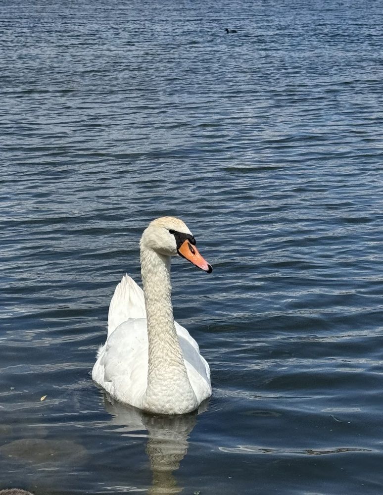 Photograph by Татьяна Семёнова