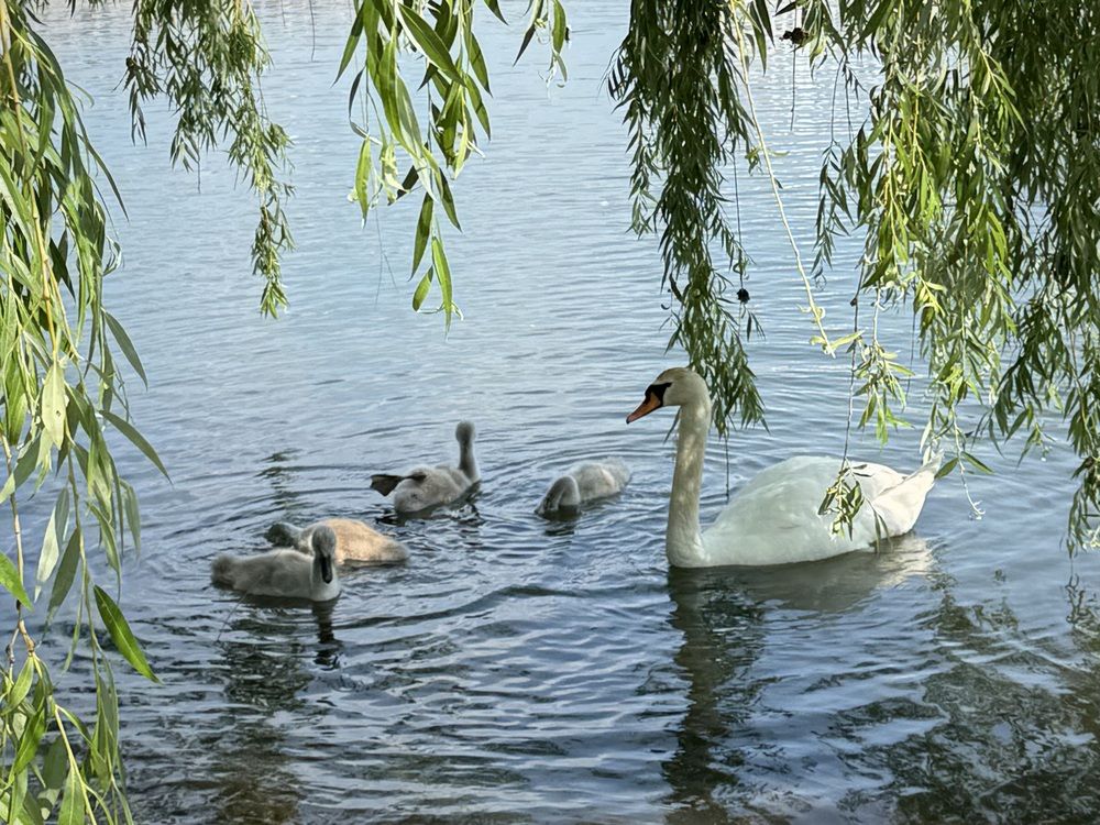 Photograph by Татьяна Семёнова