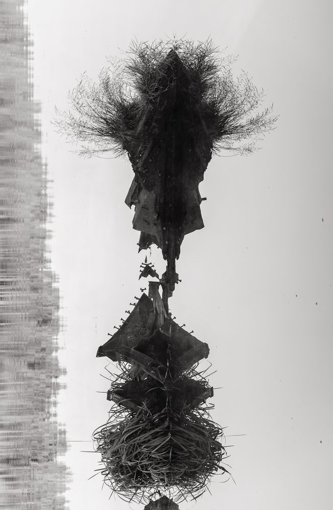 Photograph by Сергей Цепек