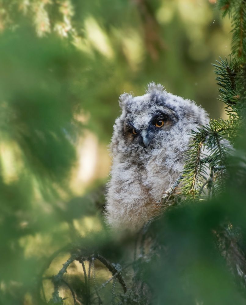 Photograph by Валентина Куренкова
