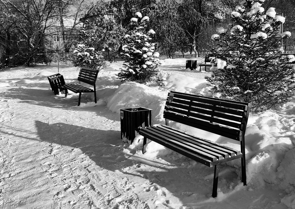 Photograph by BorzIN