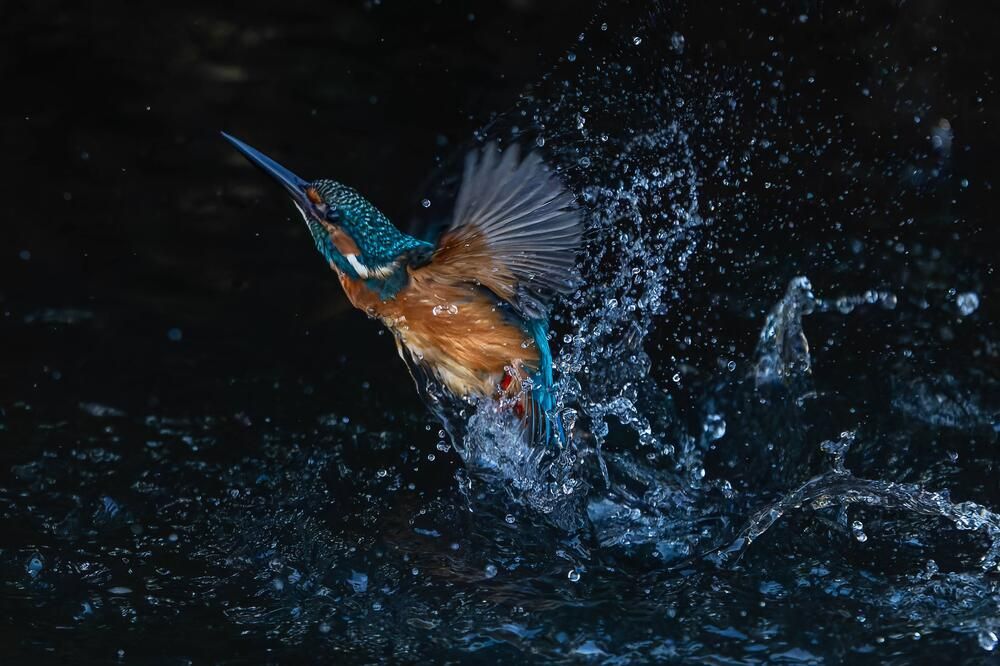 Photograph by takashi suzuki