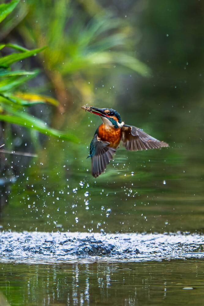 Photograph by takashi suzuki