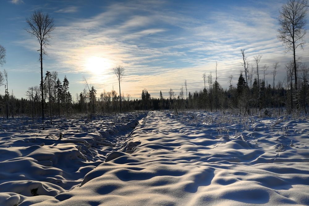 Photograph by Шеремет Олег
