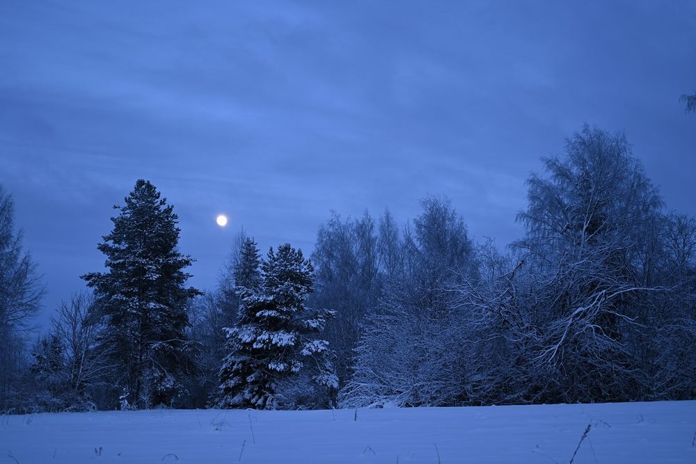 Photograph by Шеремет Олег