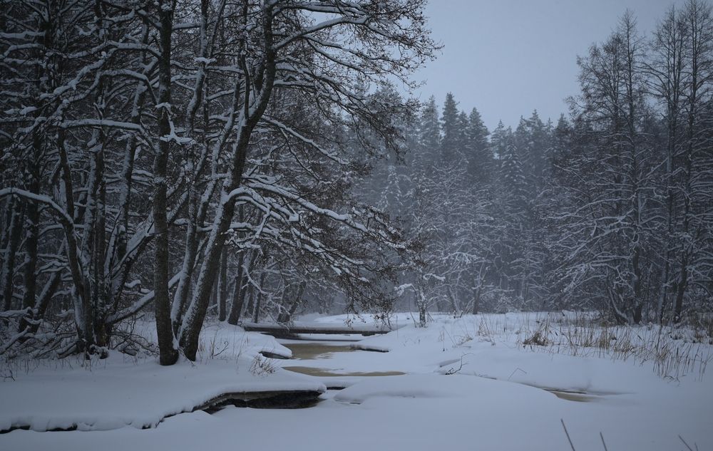 Photograph by Шеремет Олег