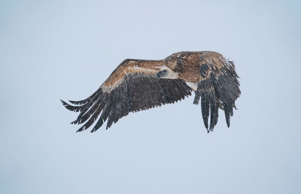 Photograph by Lyubomir Momchilov