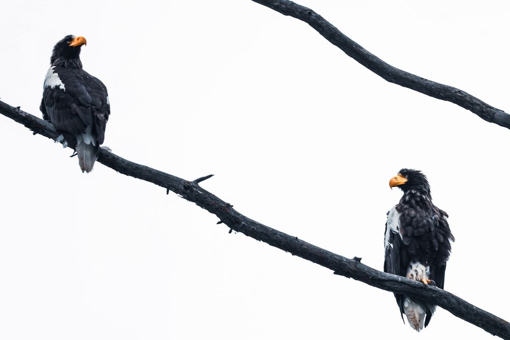 Photograph by Konstantin Morozov