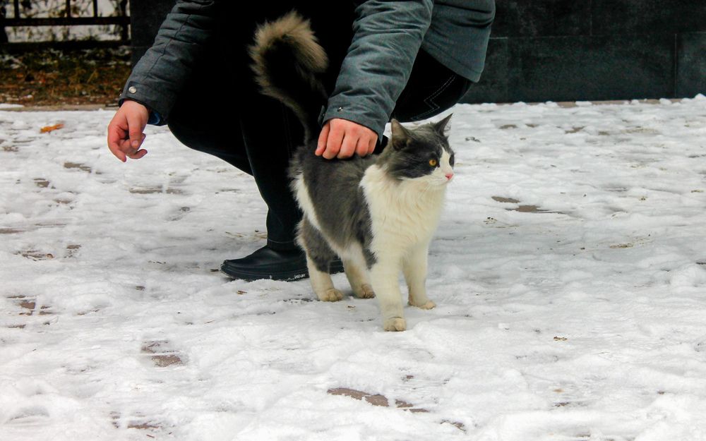 Photograph by Иван Бортяков