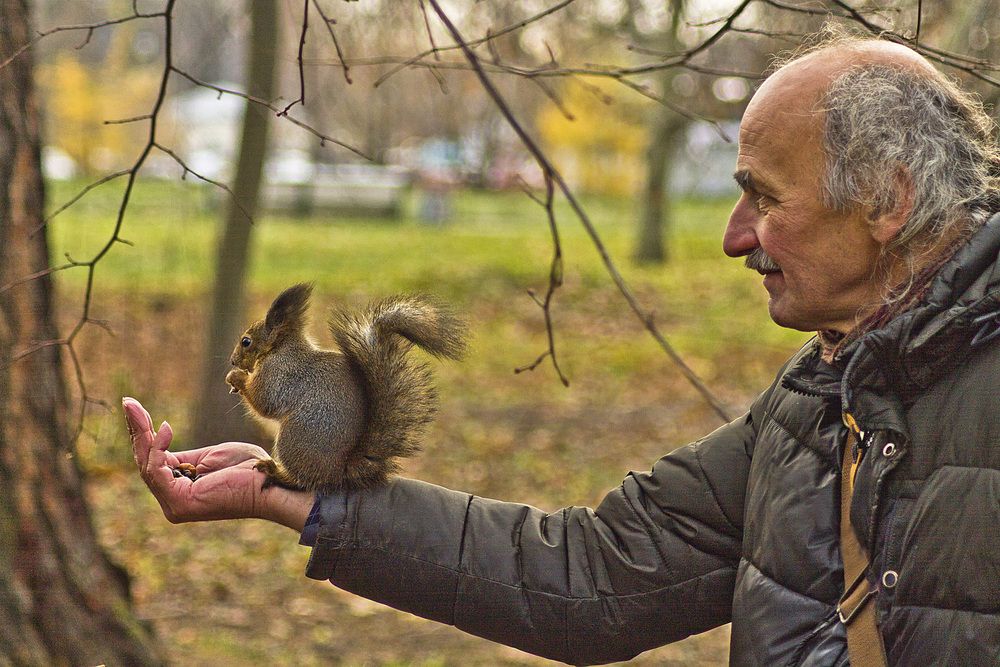 Кто кого приручает?