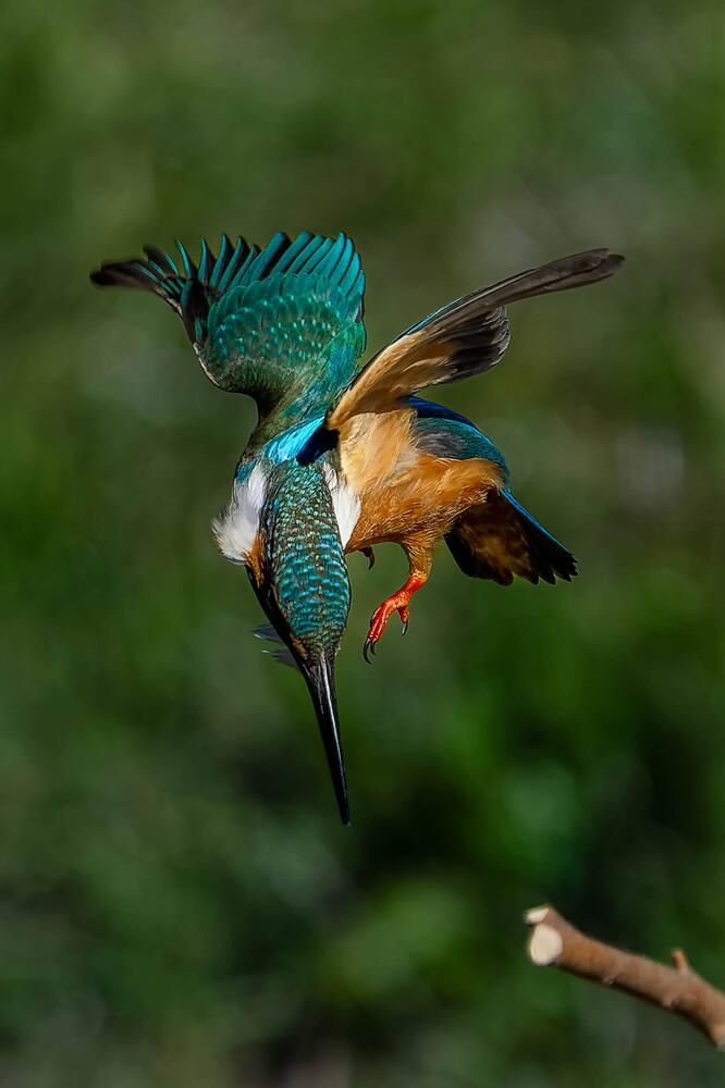 Photograph by takashi suzuki